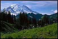 Mt Rainier from Tipsoo Lake area, afternoon. Mount Rainier National Park, Washington, USA. (color)