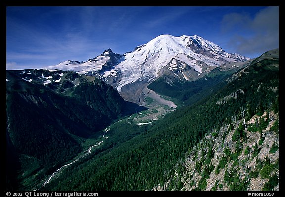 Emmons Glacier and Mt Rainier from Sunrise, morning. Mount Rainier National Park (color)