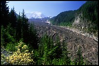 Mt Rainier above debris-covered Carbon Glacier. Mount Rainier National Park ( color)
