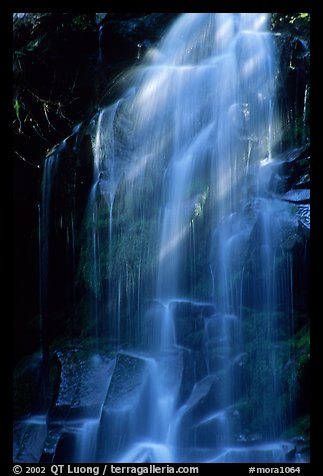 Waterfall in Carbon rainforest area. Mount Rainier National Park, Washington, USA.