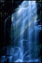 Waterfall in Carbon rainforest area. Mount Rainier National Park, Washington, USA.