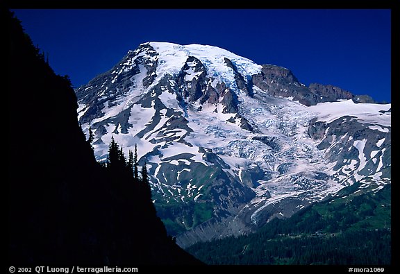 Mt Rainier seen from  Tatoosh range, afternoon. Mount Rainier National Park, Washington, USA.