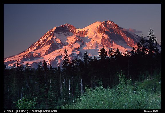Mt Rainier at sunset from the west side. Mount Rainier National Park (color)