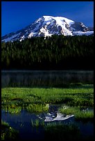 Mt Rainier reflected in Reflection lake, early morning. Mount Rainier National Park, Washington, USA.