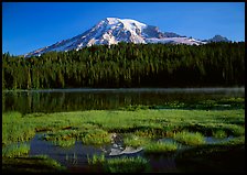 Reflection Lake and Mt Rainier, early morning. Mount Rainier National Park ( color)