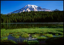 Reflection Lake and Mt Rainier, early morning. Mount Rainier National Park, Washington, USA. (color)