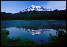 Mount Rainier reflected in lake at dawn. Mount Rainier National Park, Washington, USA. (color)