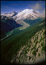 Valley fed by Mount Rainier glaciers, morning, Sunrise. Mount Rainier National Park, Washington, USA.