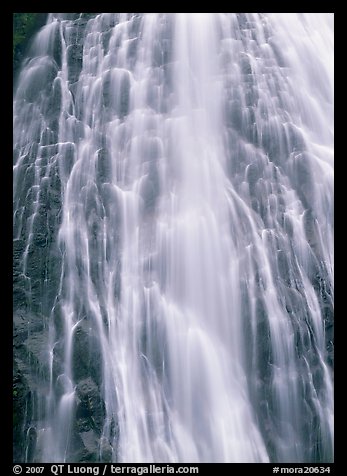 Narada falls detail. Mount Rainier National Park (color)