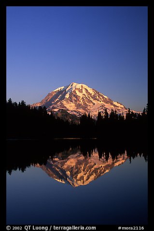 Mt Rainier reflected in Eunice Lake, afternoon. Mount Rainier National Park, Washington, USA.