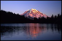 Mt Rainier above Eunice Lake, sunset. Mount Rainier National Park, Washington, USA. (color)