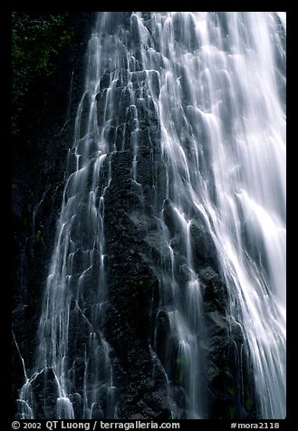 Narada falls. Mount Rainier National Park, Washington, USA.