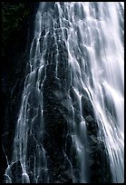 Narada falls. Mount Rainier National Park, Washington, USA. (color)