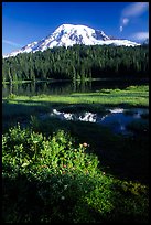 Mt Rainier and reflection, early morning. Mount Rainier National Park, Washington, USA.