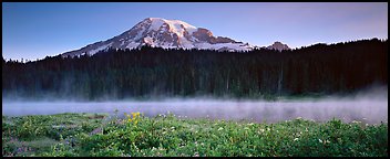 Pictures of Mount Rainier