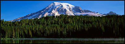 Mount Rainier raising above forest and lake. Mount Rainier National Park, Washington, USA.