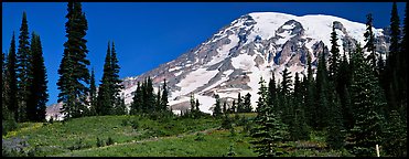 Meaadows and Mount Rainier. Mount Rainier National Park (Panoramic color)