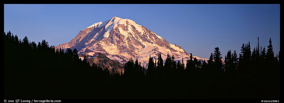 Mount Rainier above forest in silhouette. Mount Rainier National Park (color)