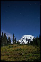 Mount Rainier and stars by night. Mount Rainier National Park, Washington, USA.