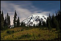 Moonlit Meadow and Mt Rainier. Mount Rainier National Park, Washington, USA. (color)