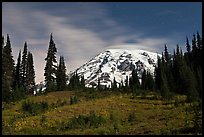 Moonlit Meadow and Mt Rainier. Mount Rainier National Park, Washington, USA.