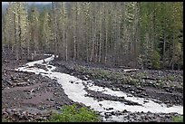 Tahoma Creek, Westside. Mount Rainier National Park, Washington, USA. (color)