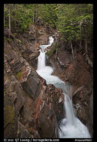 Cascades, Van Trump Creek. Mount Rainier National Park (color)