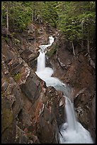 Cascades, Van Trump Creek. Mount Rainier National Park ( color)