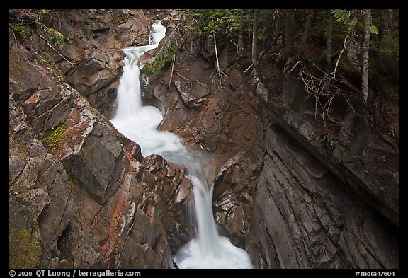 Van Trump Creek. Mount Rainier National Park, Washington, USA.