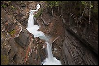 Van Trump Creek. Mount Rainier National Park, Washington, USA.