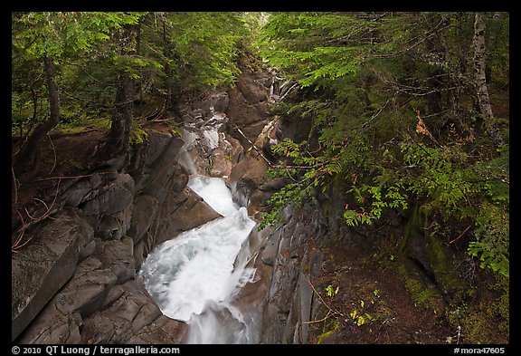 Water rushes down Van Trump Creek. Mount Rainier National Park (color)