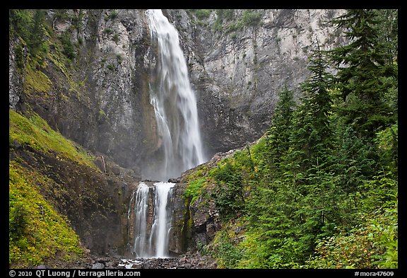 Forest and waterfall. Mount Rainier National Park, Washington, USA.