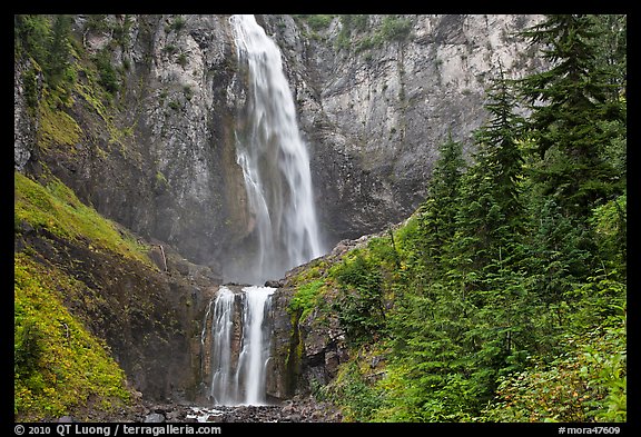 Forest and waterfall. Mount Rainier National Park (color)