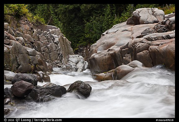 Water flowing down gorge. Mount Rainier National Park, Washington, USA.