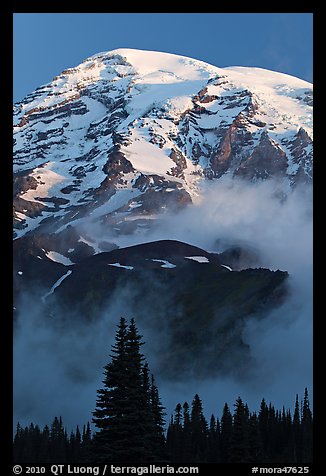 Mount Rainier rising above fog at sunrise. Mount Rainier National Park, Washington, USA.