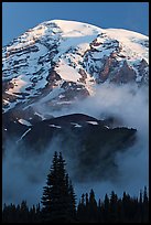 Mount Rainier rising above fog at sunrise. Mount Rainier National Park ( color)