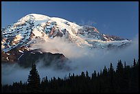 Mt Rainier, above fog and treeline at sunrise. Mount Rainier National Park ( color)