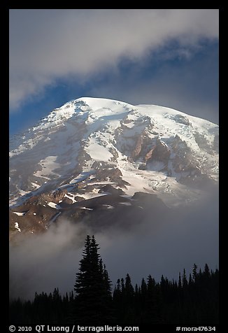 Mountain emerging from clouds. Mount Rainier National Park, Washington, USA.