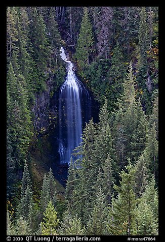 Martha Falls. Mount Rainier National Park, Washington, USA.