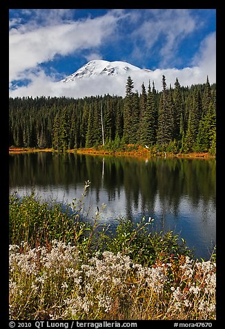 Mount Rainier and clouds seen from reflection lakes. Mount Rainier National Park, Washington, USA.