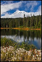 Mount Rainier and clouds seen from reflection lakes. Mount Rainier National Park, Washington, USA.