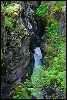 Box Canyon. Mount Rainier National Park, Washington, USA. (color)