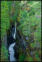 Deep narrow box canyon with vertical walls. Mount Rainier National Park, Washington, USA. (color)