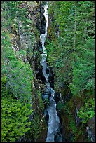 Canyon of the Muddy Fork of Cowlitz River. Mount Rainier National Park, Washington, USA.