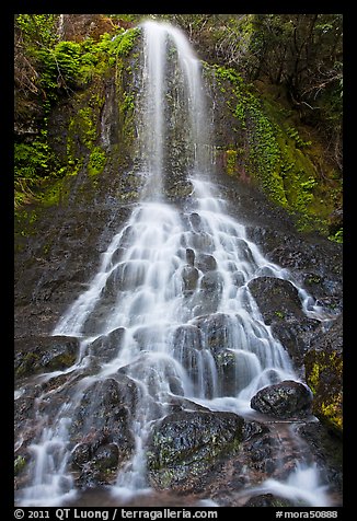 Waterfall cascading over boulders, Falls Creek. Mount Rainier National Park, Washington, USA.