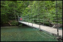 Suspension footbridge over Ohanapecosh River. Mount Rainier National Park, Washington, USA. (color)