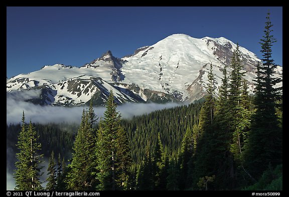 Mount Rainier from Sunrise. Mount Rainier National Park (color)