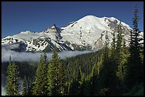 Mount Rainier from Sunrise. Mount Rainier National Park ( color)