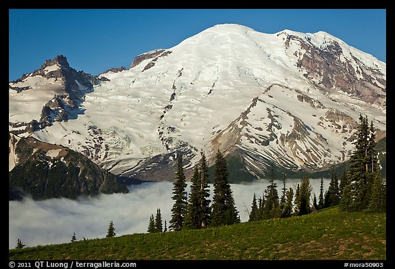 Meadow and Mt Rainier above fog-filled valley. Mount Rainier National Park, Washington, USA.