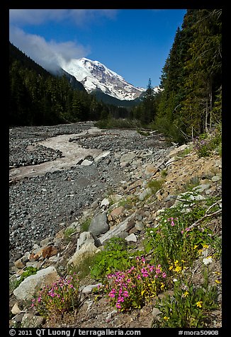 White River creek and Mt Rainier. Mount Rainier National Park, Washington, USA.